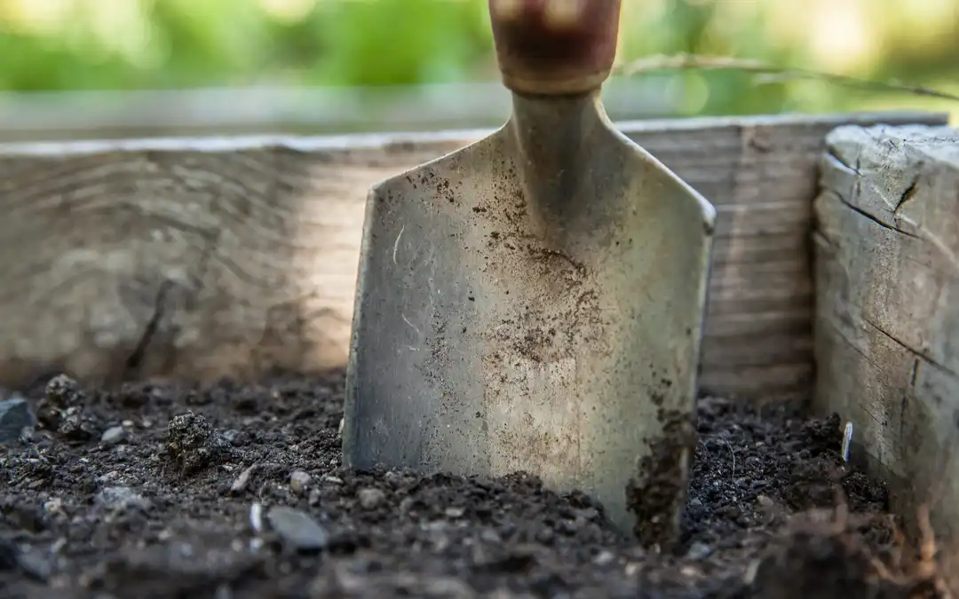 shovel digging into soil