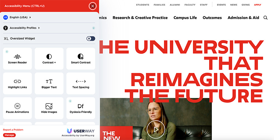 Screenshot of the New School's accessibility menu